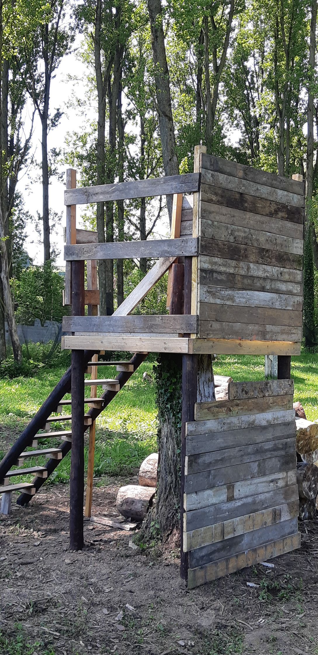 Une petite cabane en bois perchée dans un arbre, accessible par une échelle, construite dans une zone boisée. La structure est faite de bois brut.