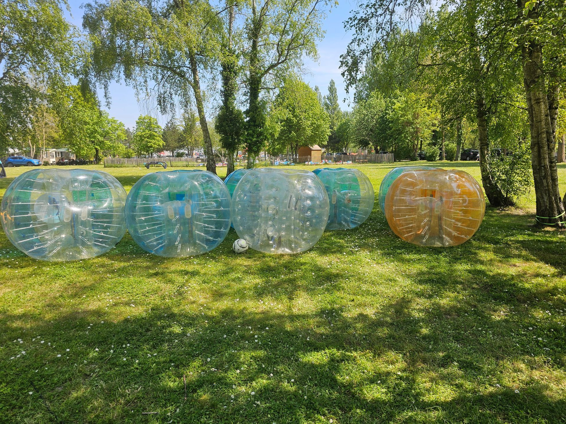 Plusieurs bulles transparentes sur une pelouse verte avec des arbres en arrière-plan, prêtes à être utilisées.