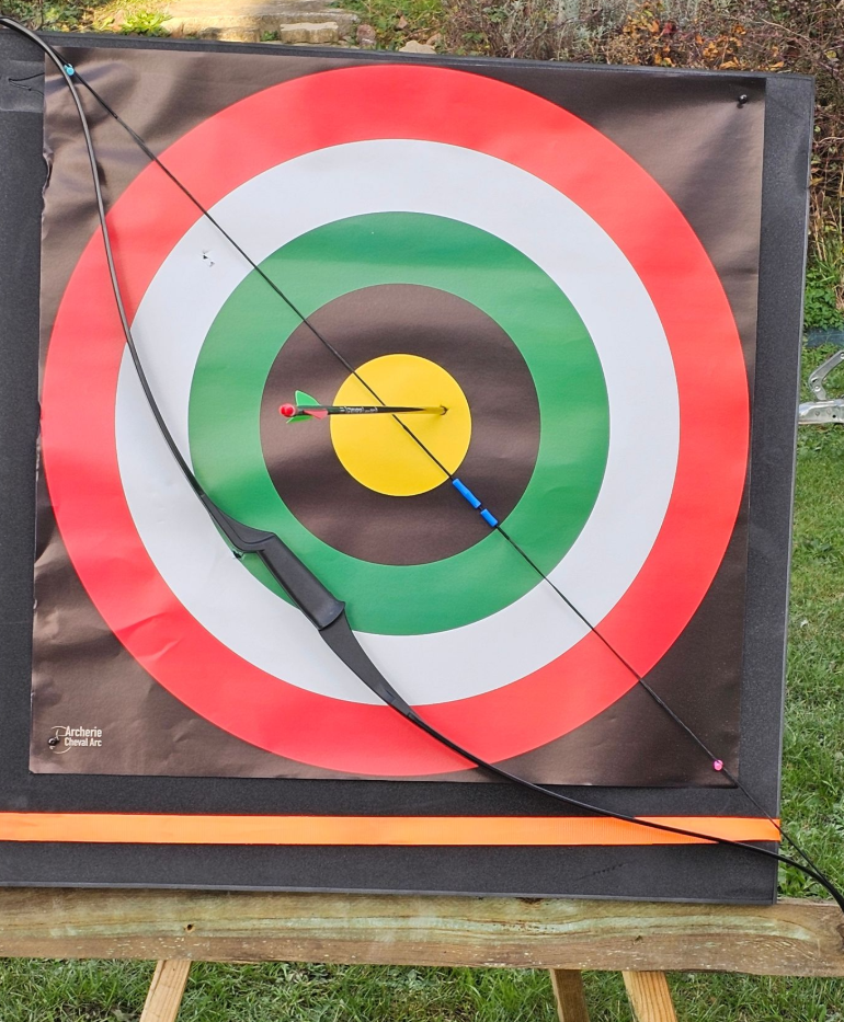 Cible de tir à l'arc avec arc et flèche, une flèche au centre jaune.