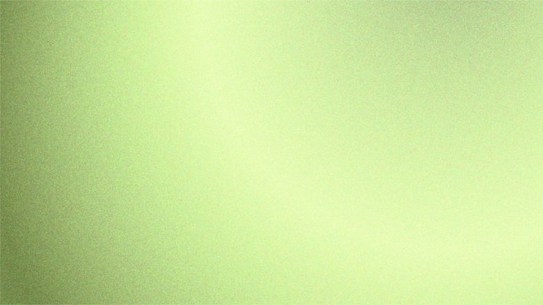 Un fond dégradé doux et granuleux, passant d'un vert clair pâle à droite à un vert olive plus foncé à gauche.