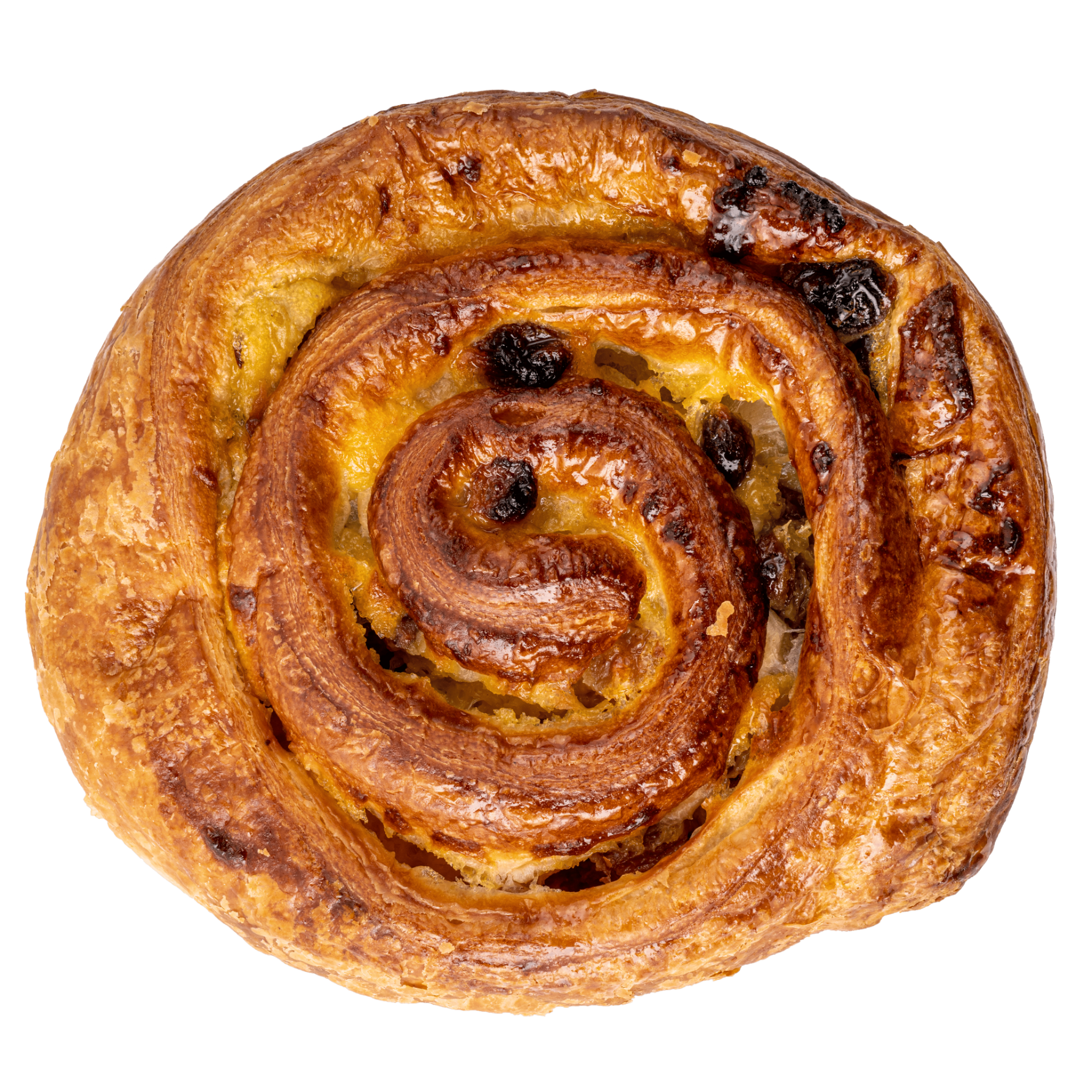 Un pain aux raisins doré, présentant un motif circulaire, sur fond blanc uni.