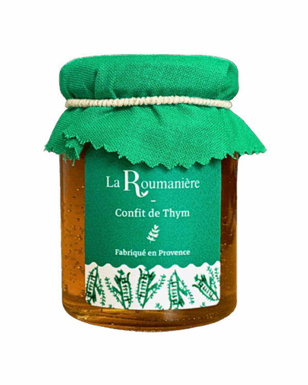 Un brin de thym vert frais avec de petites fleurs lilas clair sur un fond blanc uni.