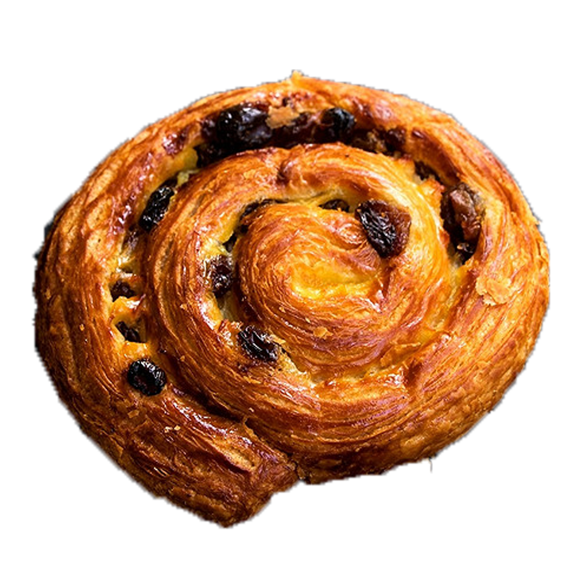 Un pain aux raisins doré, présentant un motif circulaire, sur fond blanc uni.