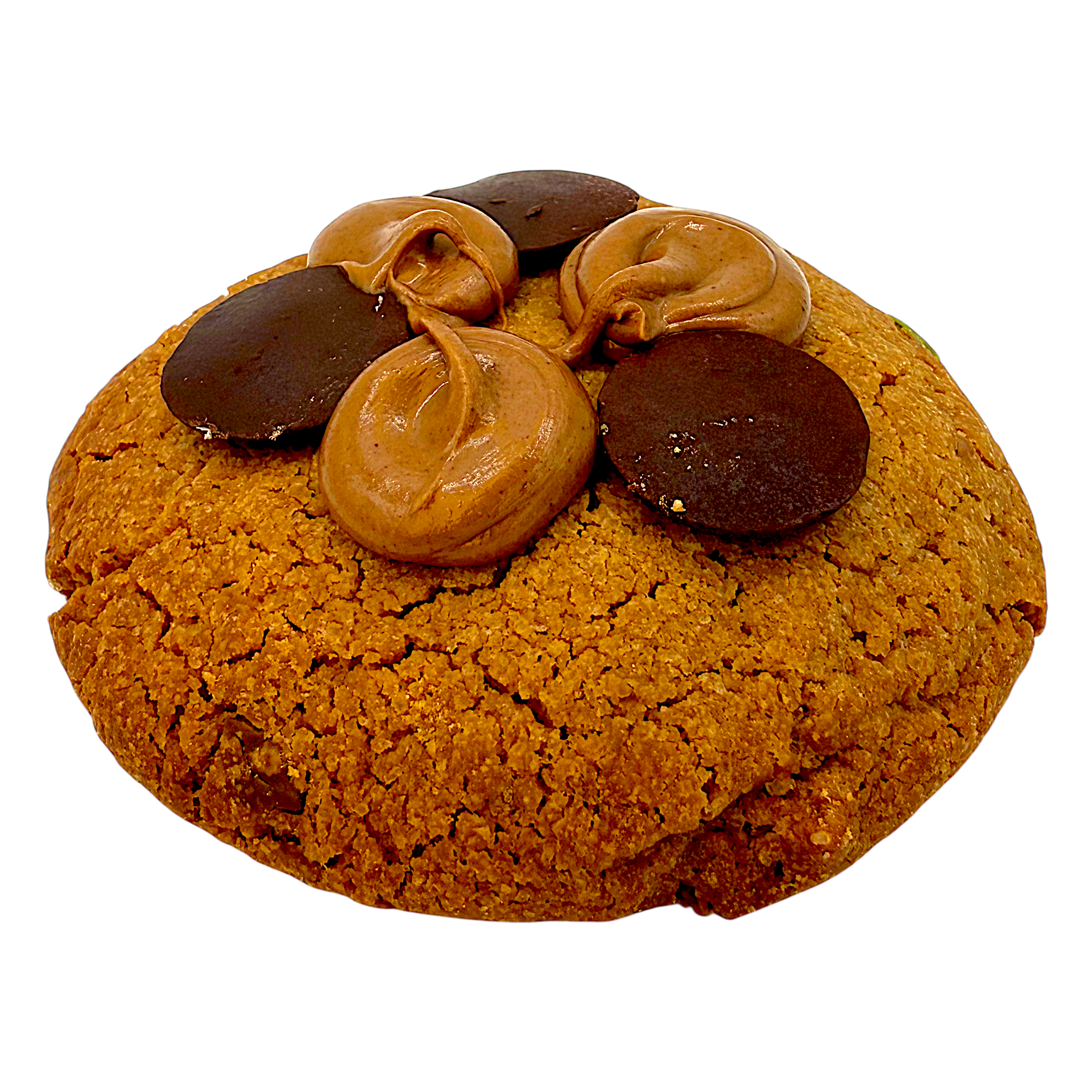Un cookie rond garni de pépites de chocolat et de noix finement hachées, sur fond blanc.