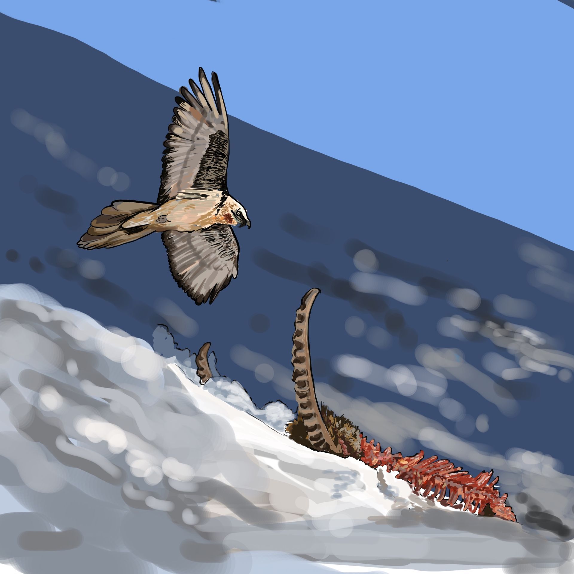 Illustration documentaire pour l'ASTER. par Alice Laverty