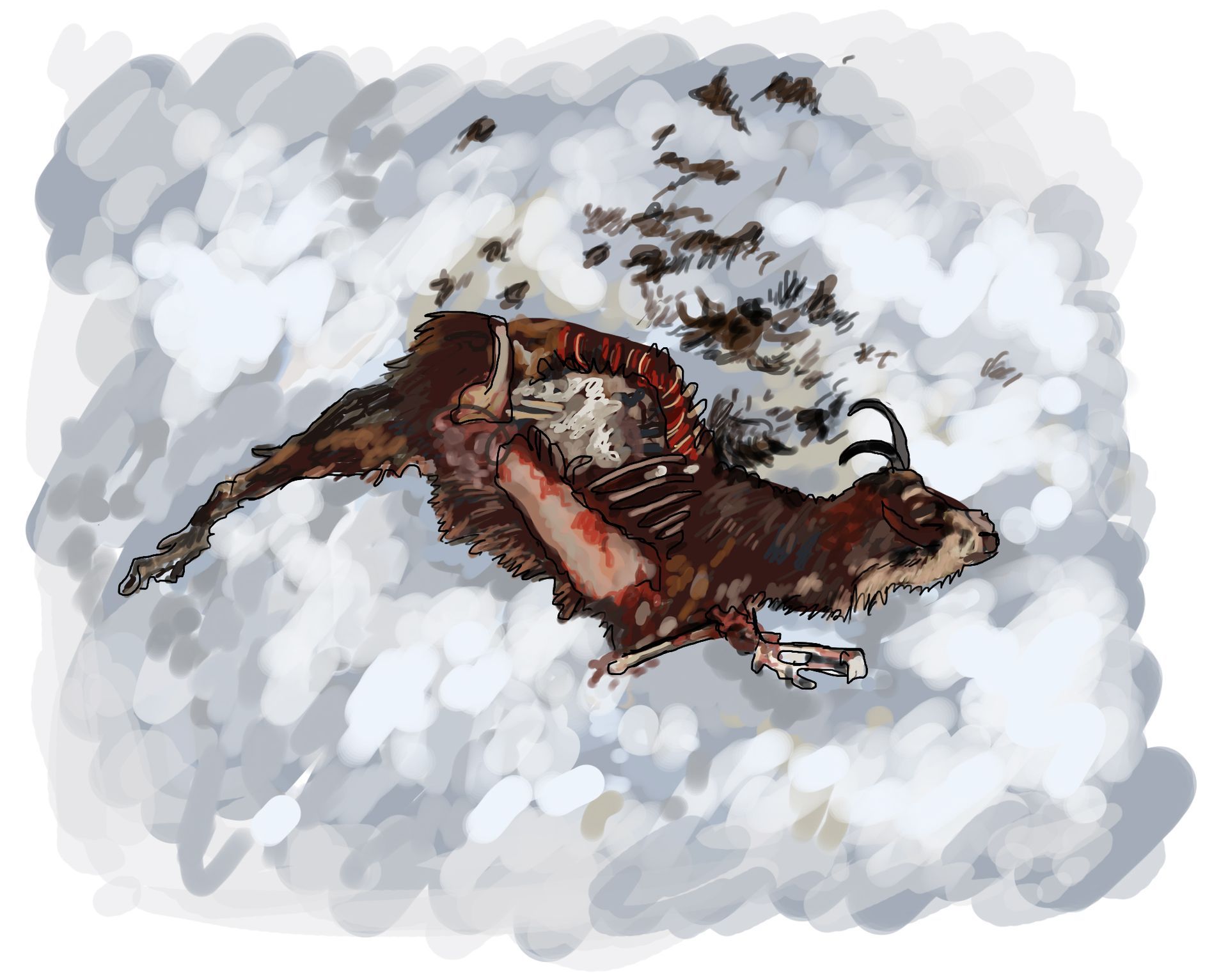 Illustration documentaire pour l'ASTER. par Alice Laverty