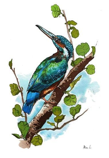 Illustration 
