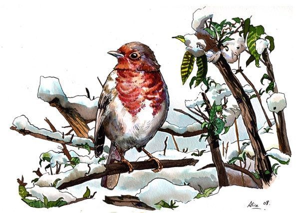 Illustration 