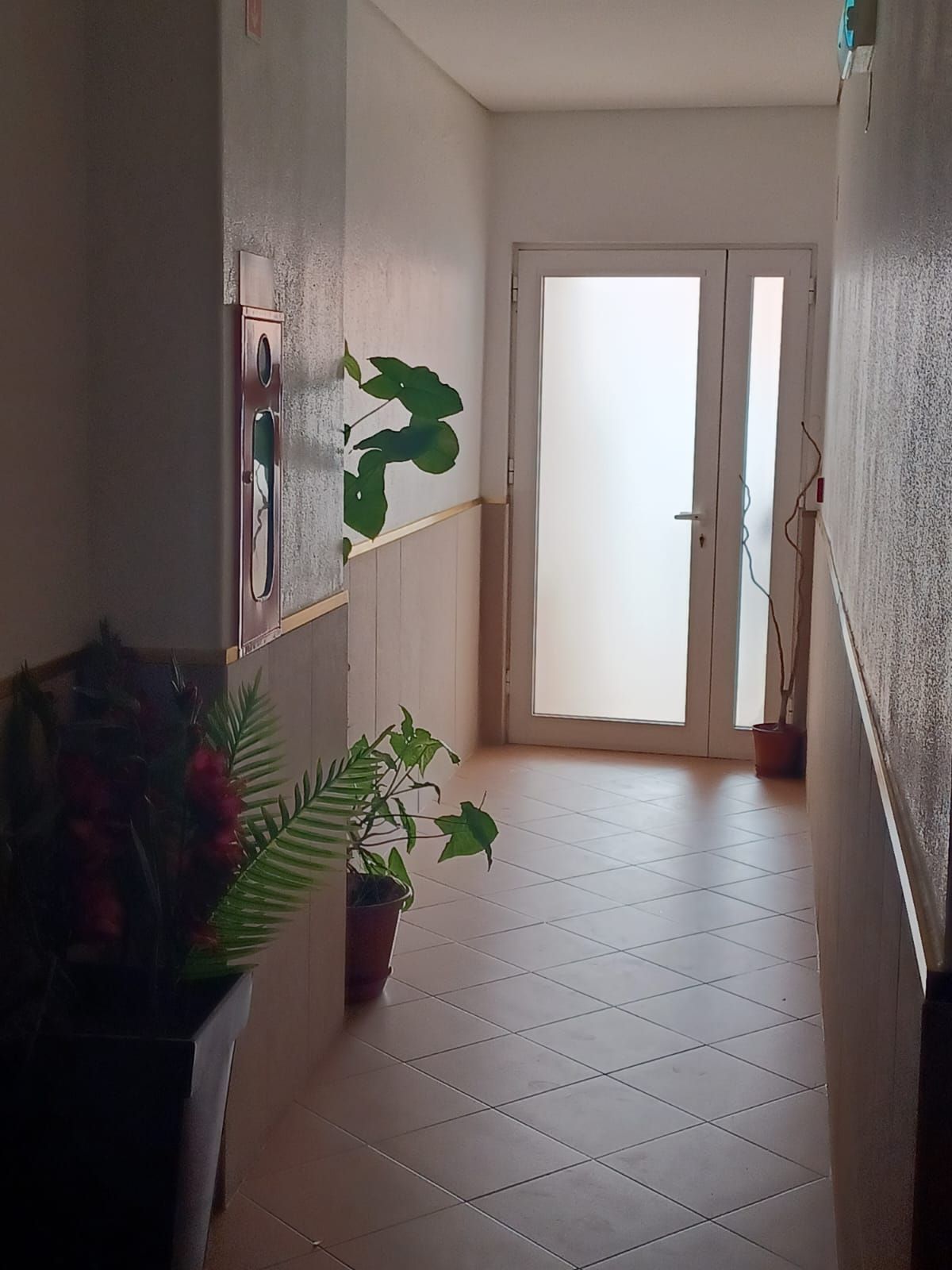 Pensão Residencial Primavera