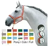 Caballo blanco con cabestro rojo con muestras de paleta de colores y etiqueta “Pony | Cob | Full”