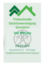 Professionelle Dachrinnenreinigung Vogt Logo