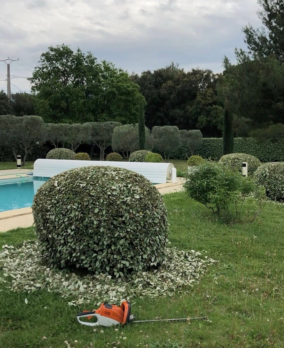 Des haies et une pelouse bien taillées entourent une piscine, avec un taille-haie au sol.