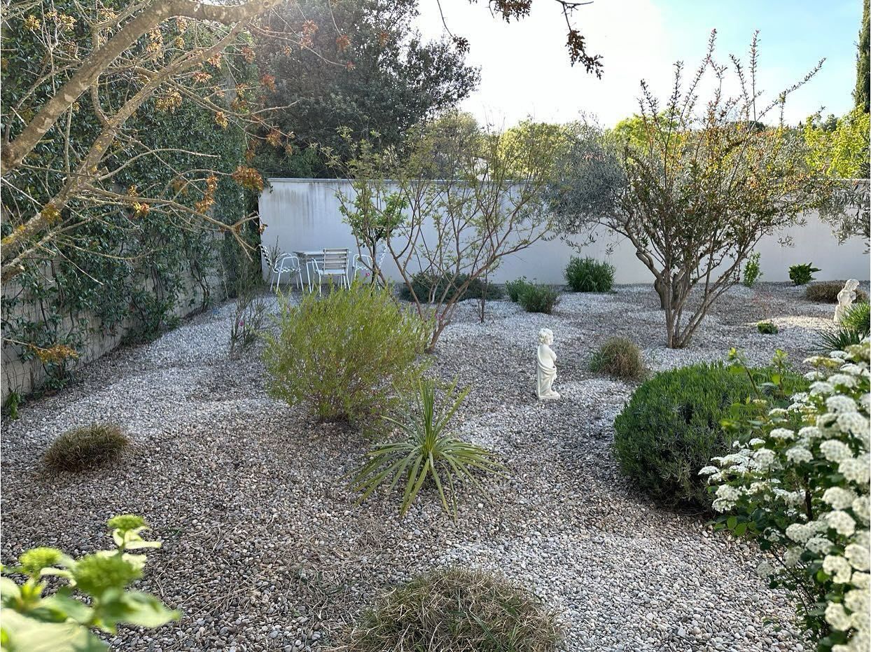 Un jardin ensoleillé avec un sol recouvert de gravier, divers arbustes et un mur blanc en arrière-plan.