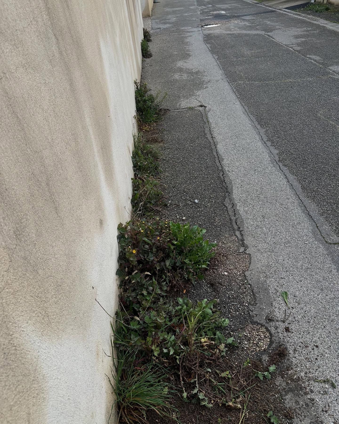 Mur bordant le trottoir, avec des mauvaises herbes qui poussent entre les deux surfaces.