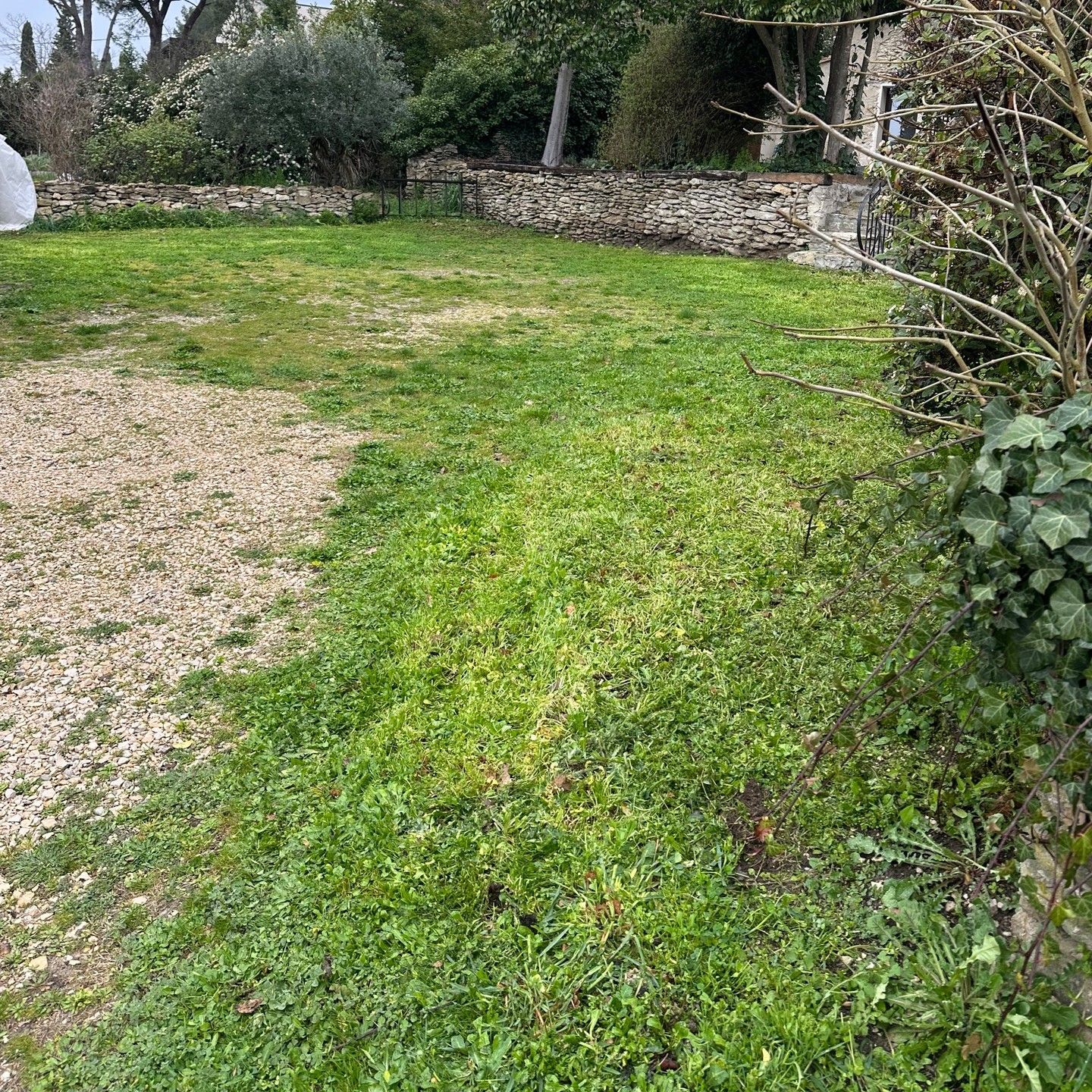 Cour gazonnée avec allée de gravier, bordée d'un mur de pierre et de verdure.