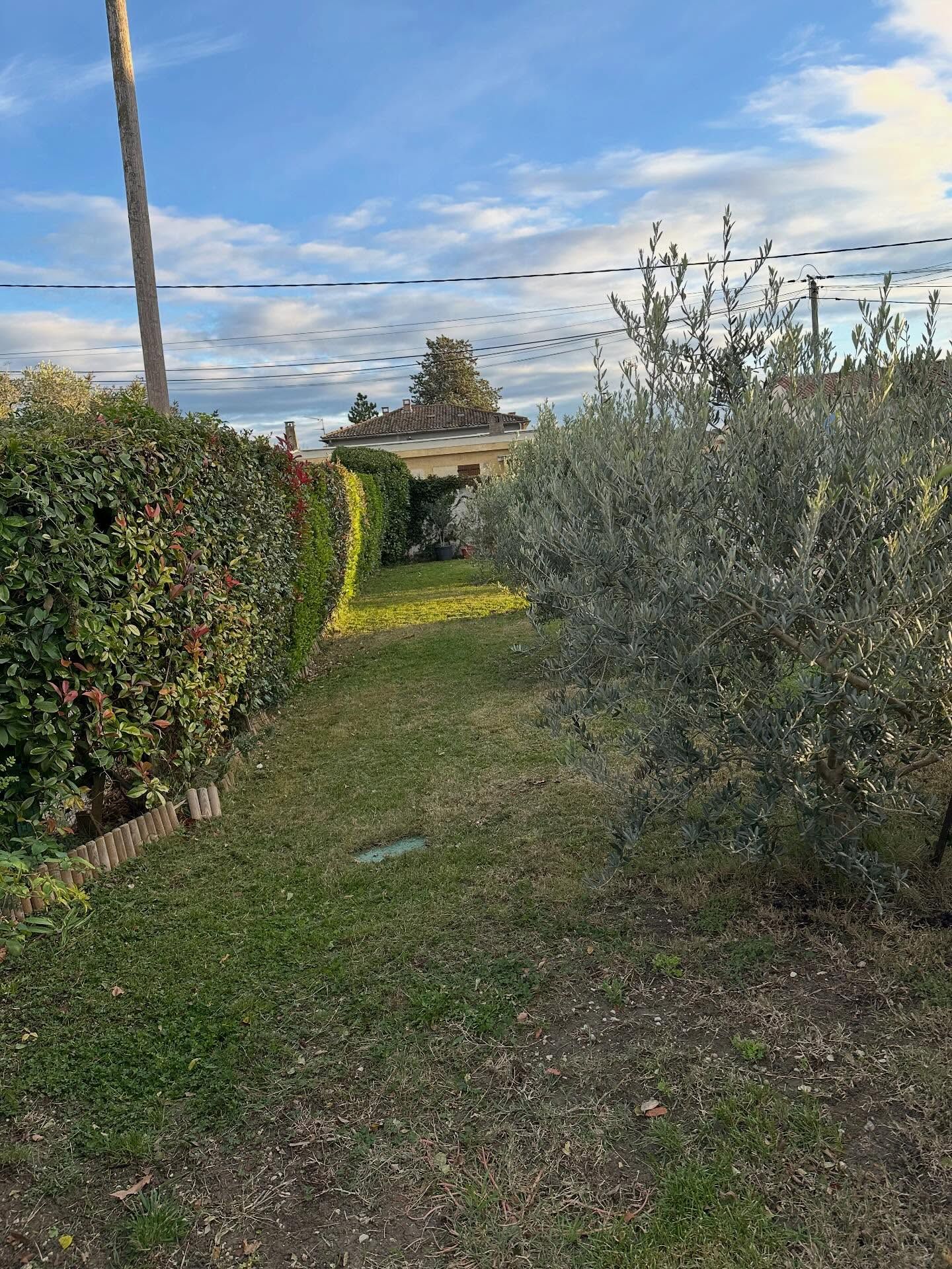Un chemin herbeux bordé de haies et d'arbres mène à un bâtiment lointain sous un ciel nuageux.