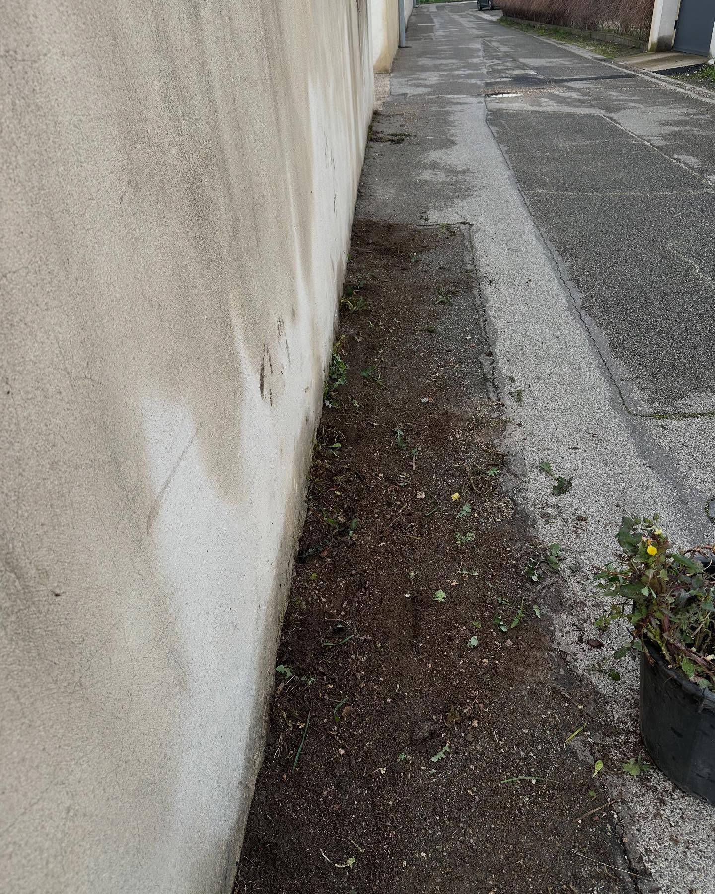 Étroite bande de terre longeant un mur en béton et une ruelle pavée.