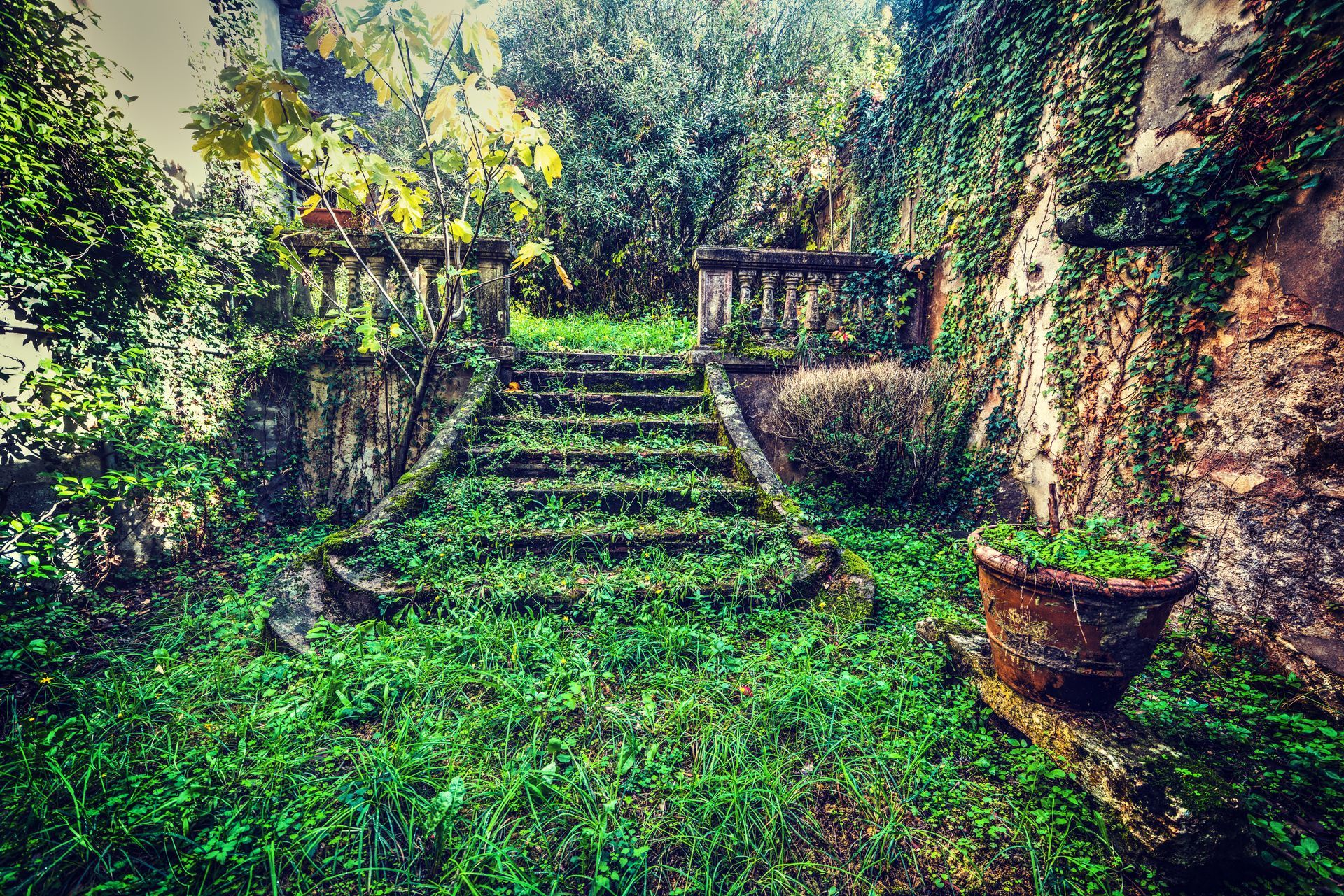 Des marches en pierre envahies par la végétation mènent à un jardin luxuriant, agrémenté d'une jardinière ancienne.