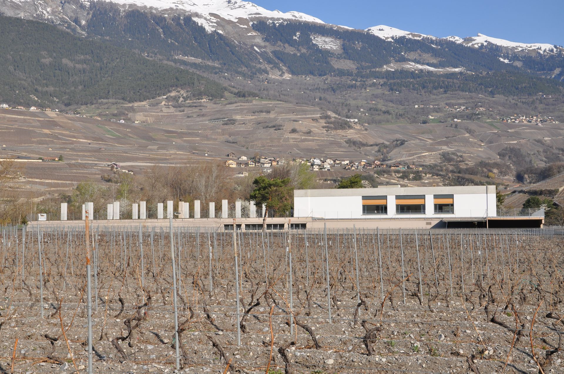 Une maison au milieu d'un vignoble avec des montagnes en arrière-plan