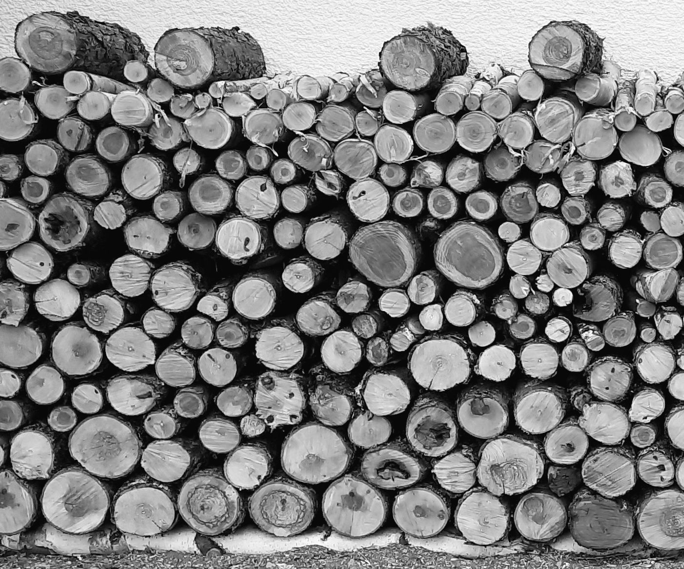 Une photo en noir et blanc d'un tas de bûches empilées les unes sur les autres.