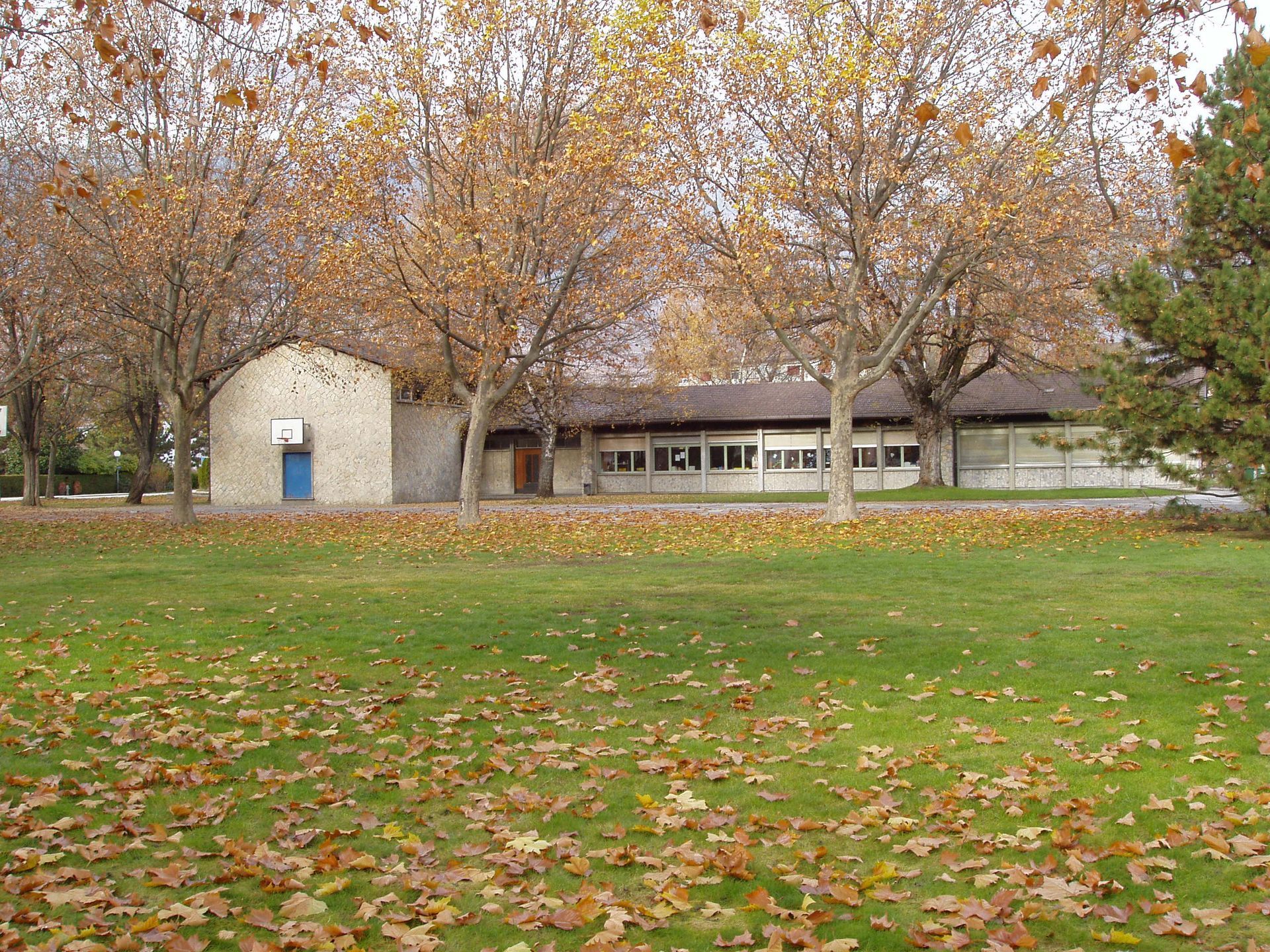 Un petit bâtiment au milieu d'un champ herbeux