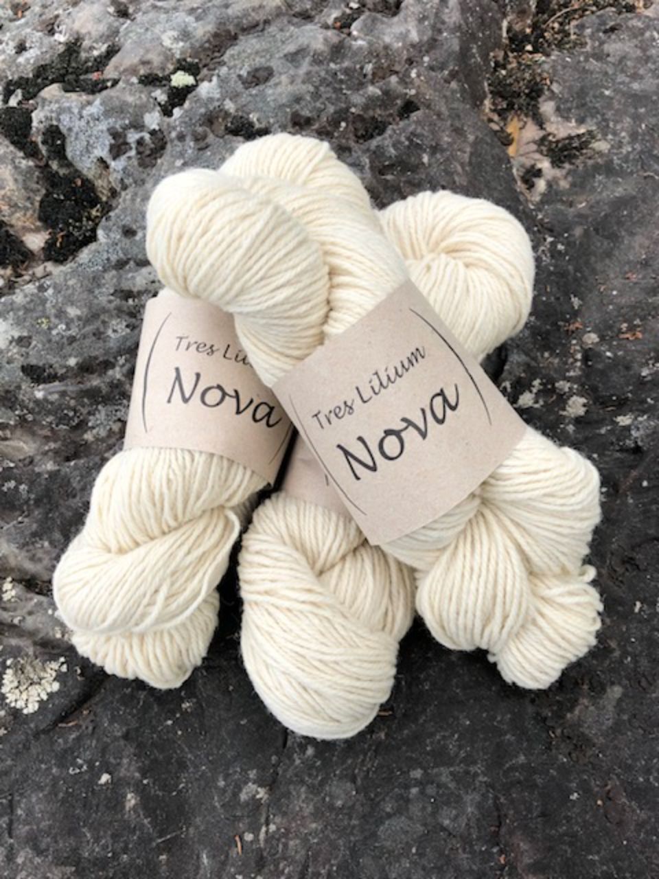 Hoitola Jaana Rajala