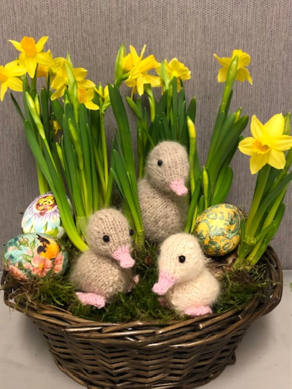 Hoitola Jaana Rajala