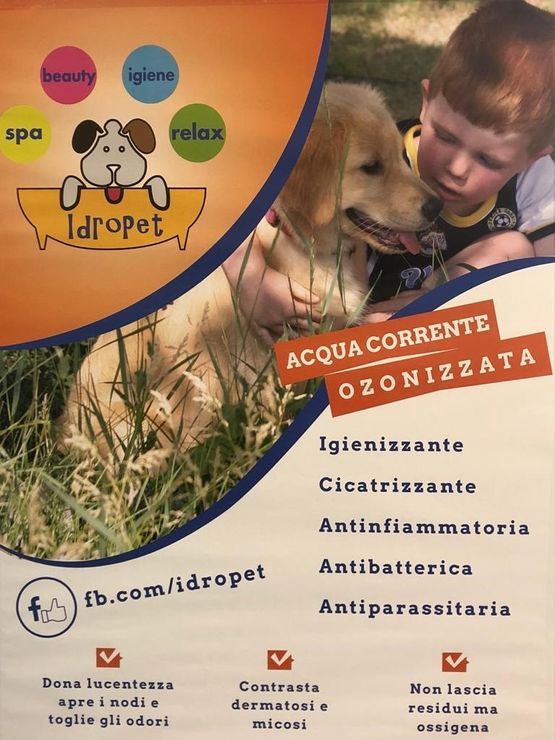 ozonoterapia per animali - L'Angolo di Anubi
