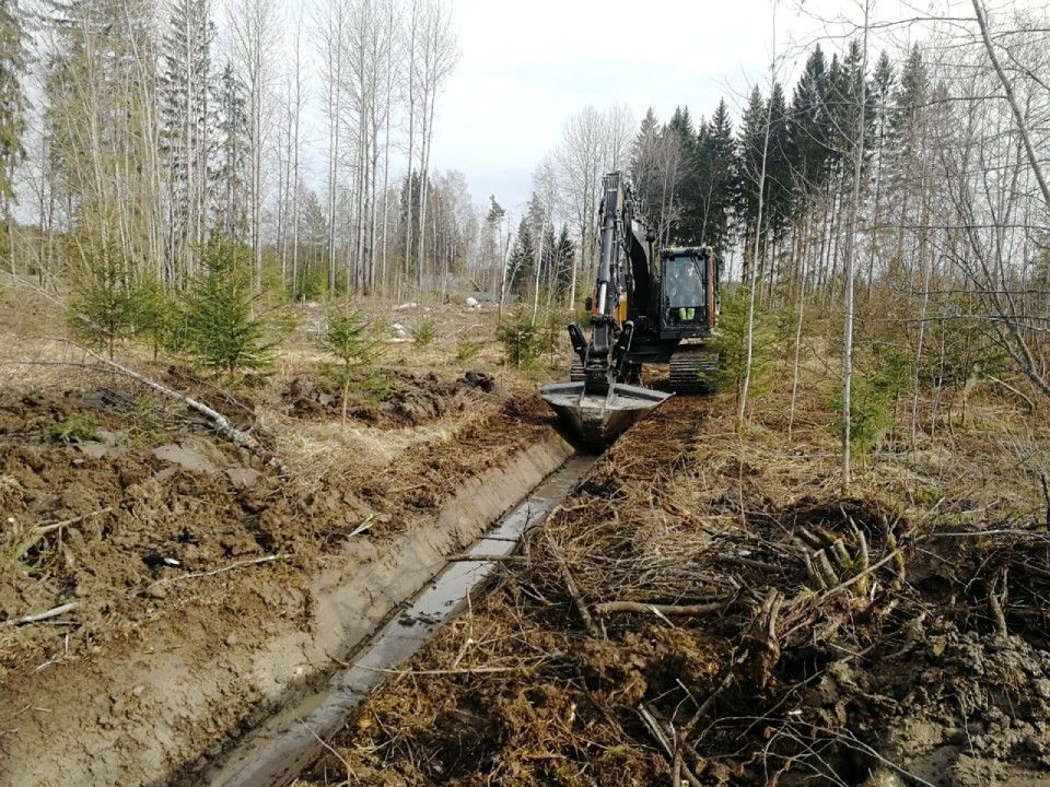 Tammelan Koneasema Oy