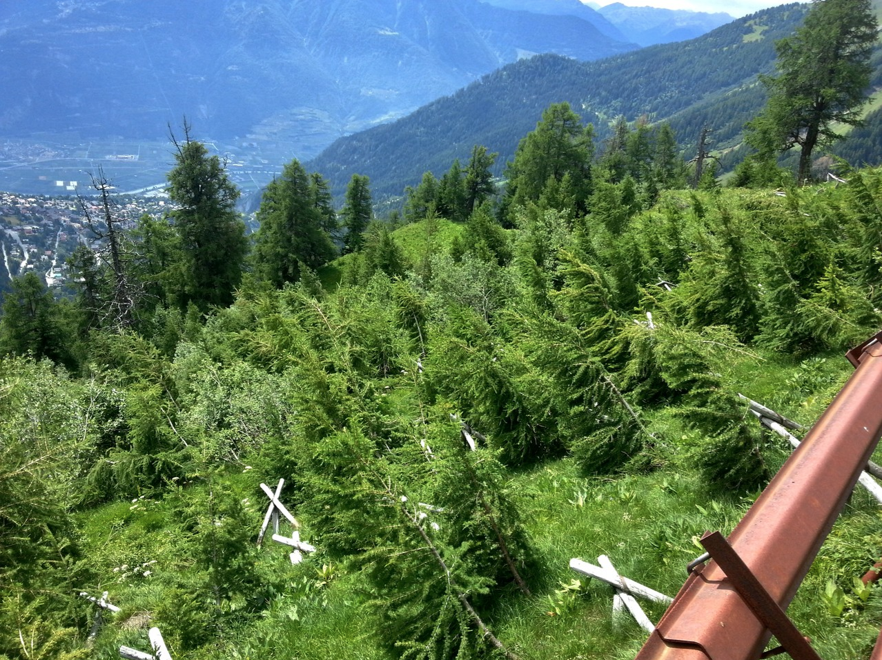 Trépieds contre le glissement de neige