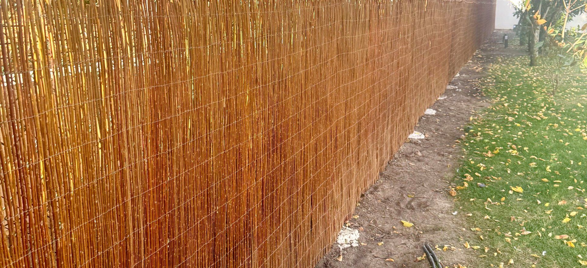 Una cerca alta y texturizada de caña marrón bordea un camino de tierra y un césped verde con hojas dispersas.