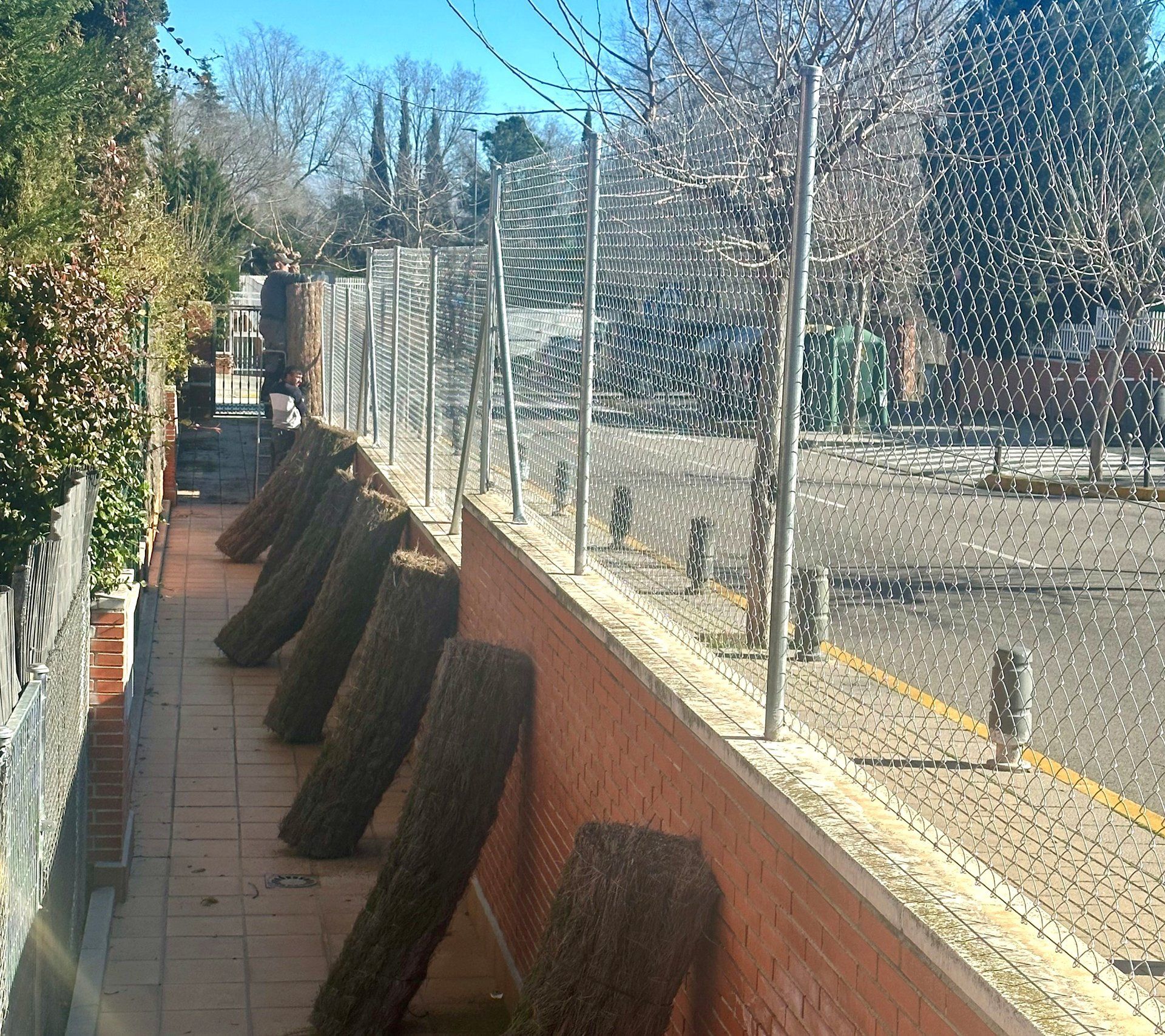 Troncos de árboles caídos se apoyan contra una pared de ladrillos que bordea una acera y una valla de alambre.