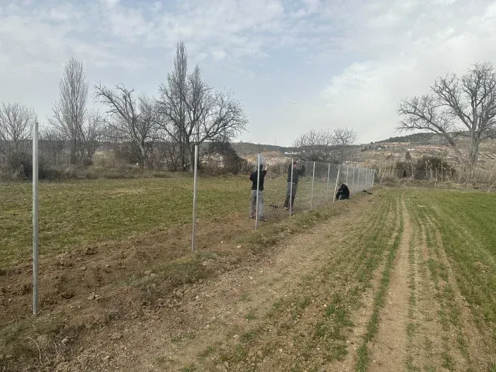 Un hombre está parado en un campo al lado de una valla.