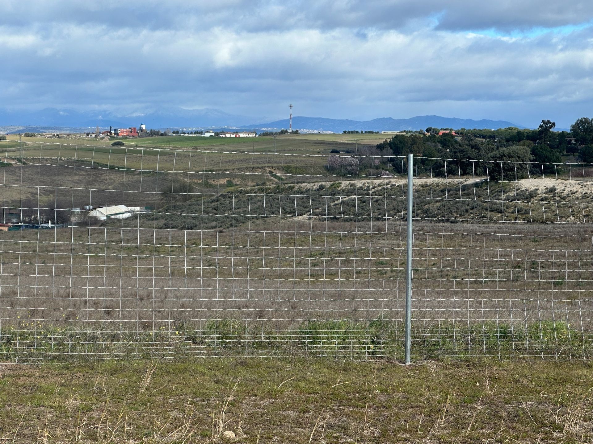 Campo abierto con hileras de postes bajo un cielo nublado. A lo lejos se ven edificios y árboles.