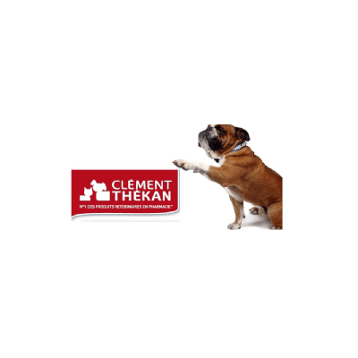 Logo Clément Thékan