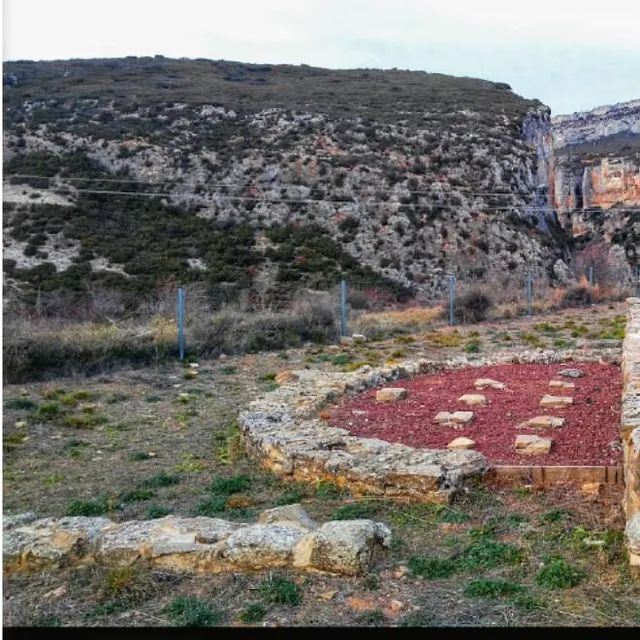 Un círculo de piedras en medio de un campo con una montaña al fondo.