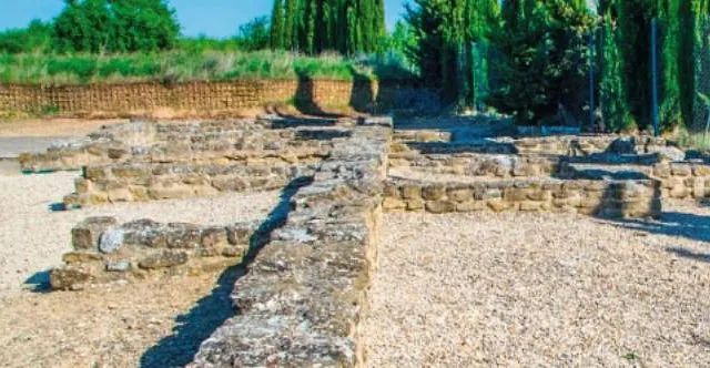 Un muro de piedra está rodeado de grava y árboles en un campo.