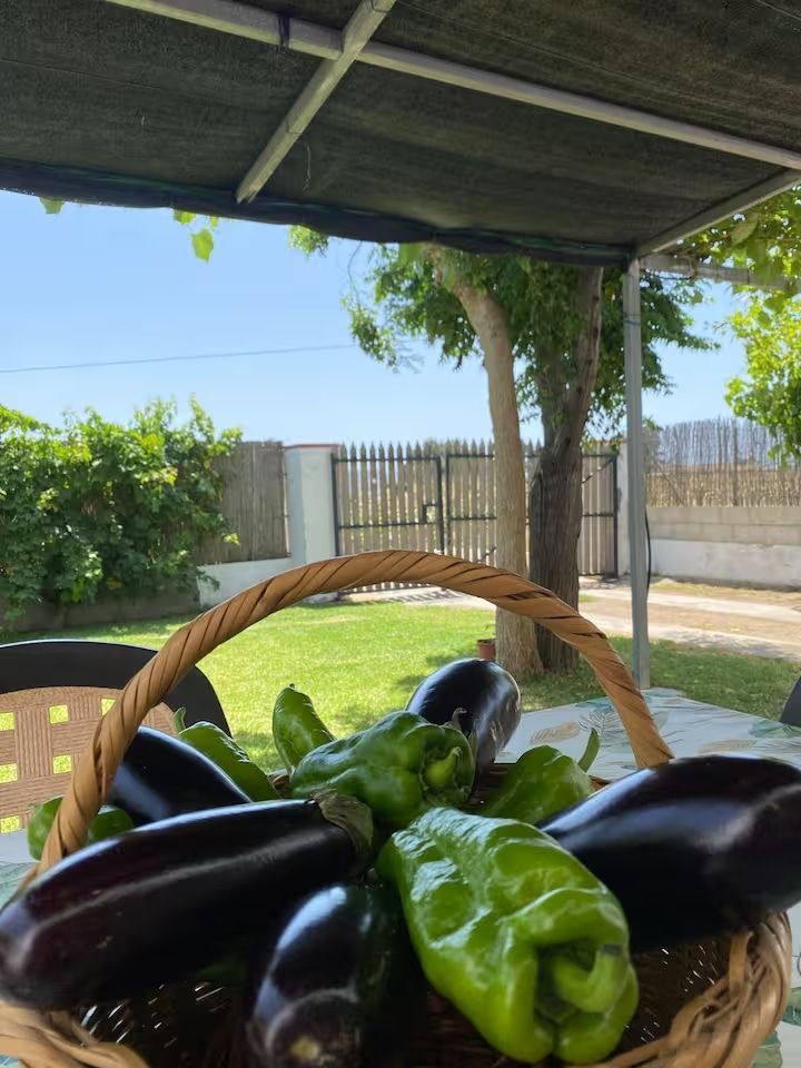 Cesta de berenjenas de color morado oscuro y pimientos verdes sobre una mesa al aire libre, día soleado.