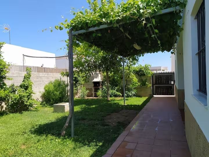 Un patio trasero con una pérgola cubierta de enredaderas, césped y un camino de ladrillos.