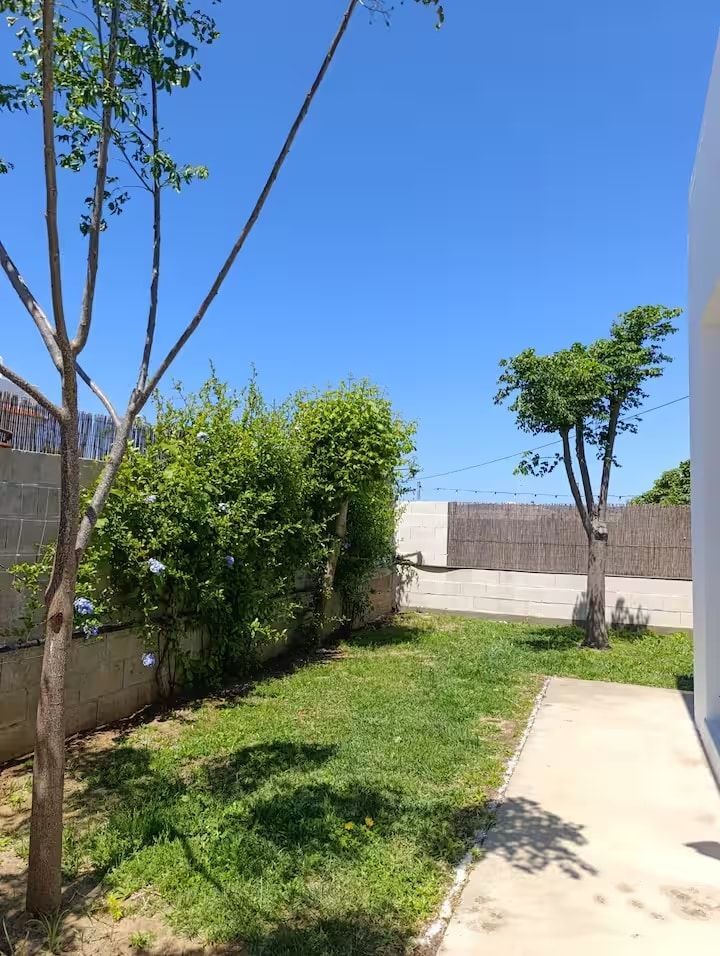 Patio verde con pequeños árboles, arbustos y un camino de concreto contra un cielo azul brillante.