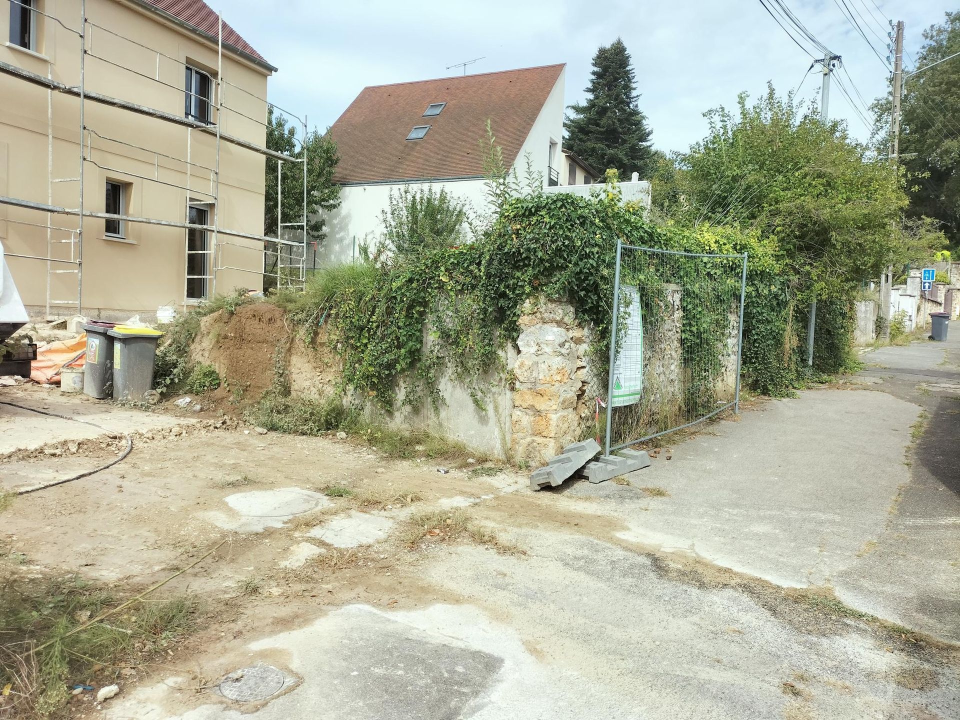 Photo avant la reconstruction d'un ancien mur en pierres meulière recouvert de végétation.
