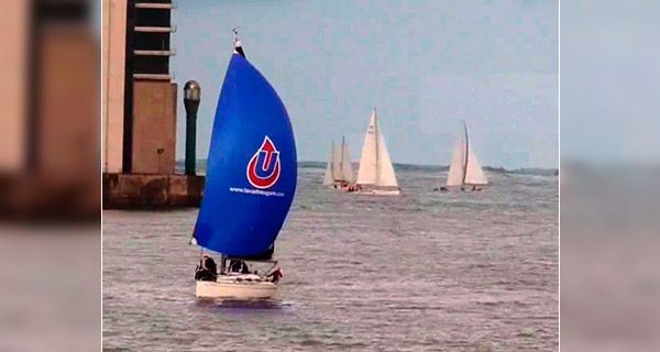 Un grupo de veleros flotan sobre un cuerpo de agua.