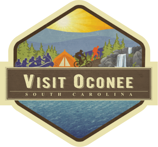 visitoconeesc.com