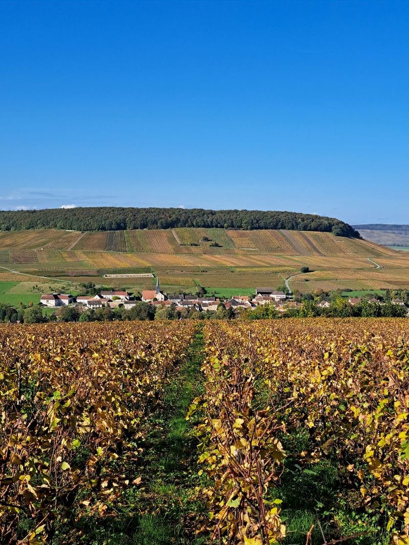 Festigny en automne