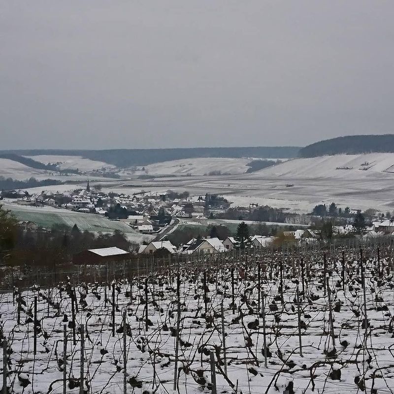 Festigny sous la neige