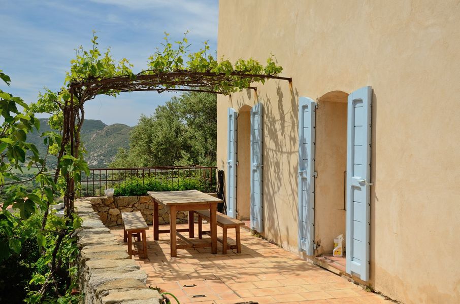 Patio ensoleillé avec pergola recouverte de vigne, table et chaises en bois, à côté d'une maison de couleur crème aux volets bleus.
