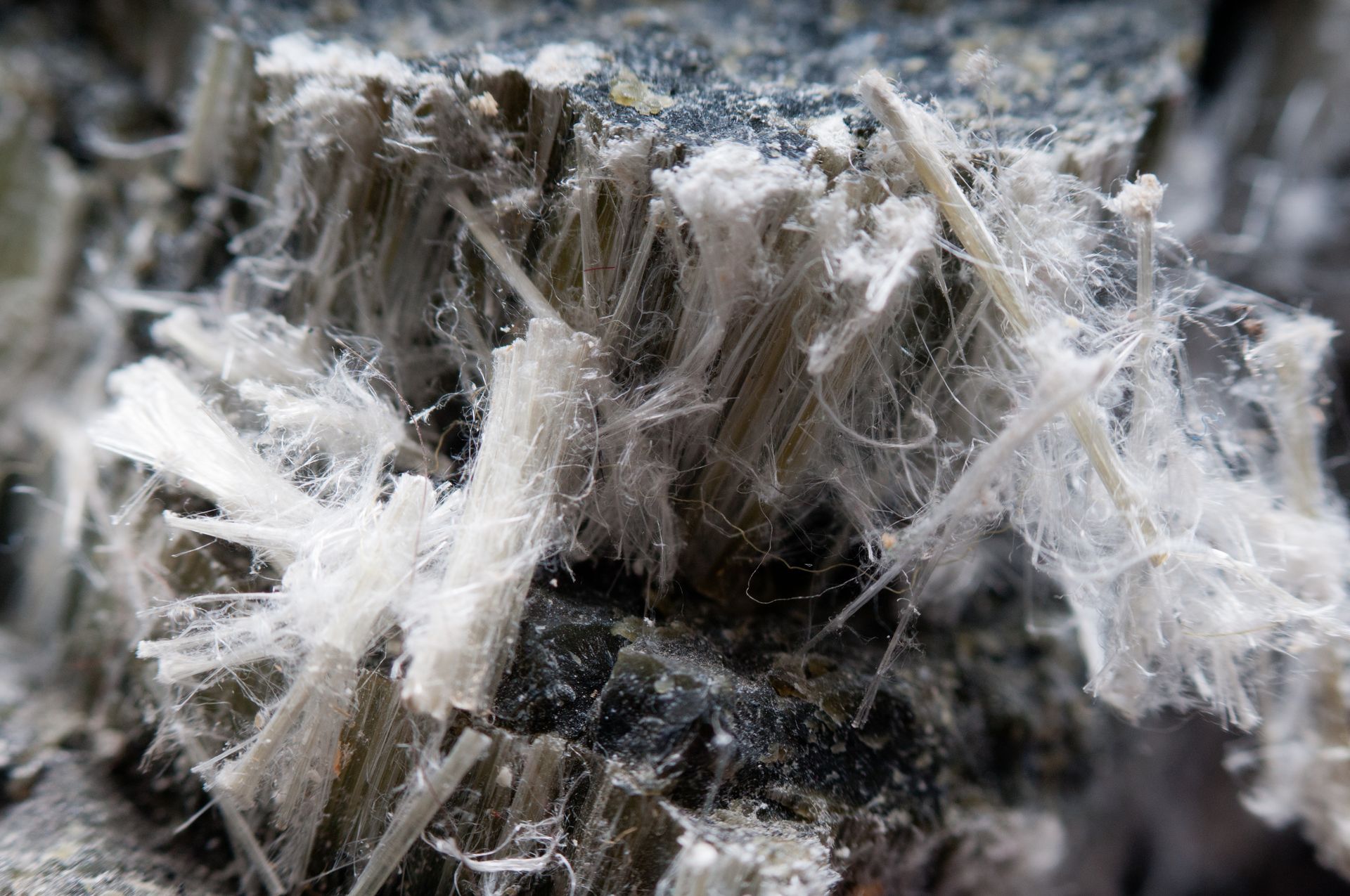 Fibres cristallines blanches sur roche sombre, ressemblant à du givre ou à des cristaux minéraux en gros plan