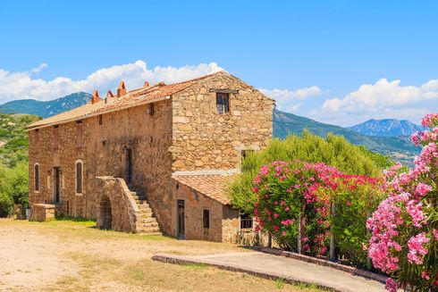 Maison rustique en pierre avec des buissons en fleurs, des montagnes et un ciel bleu dans un cadre champêtre ensoleillé