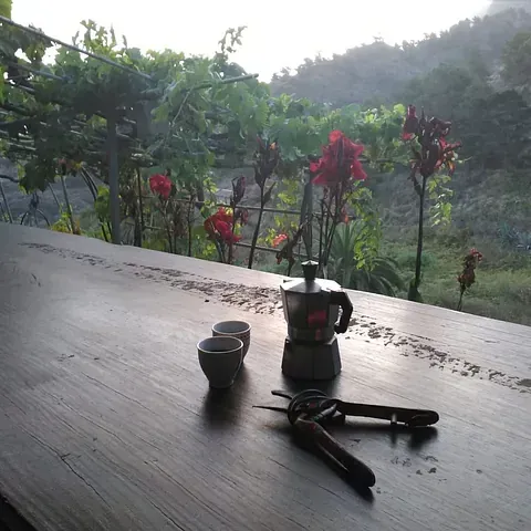 Una cafetera reposa sobre una mesa de madera junto a un par de tijeras.