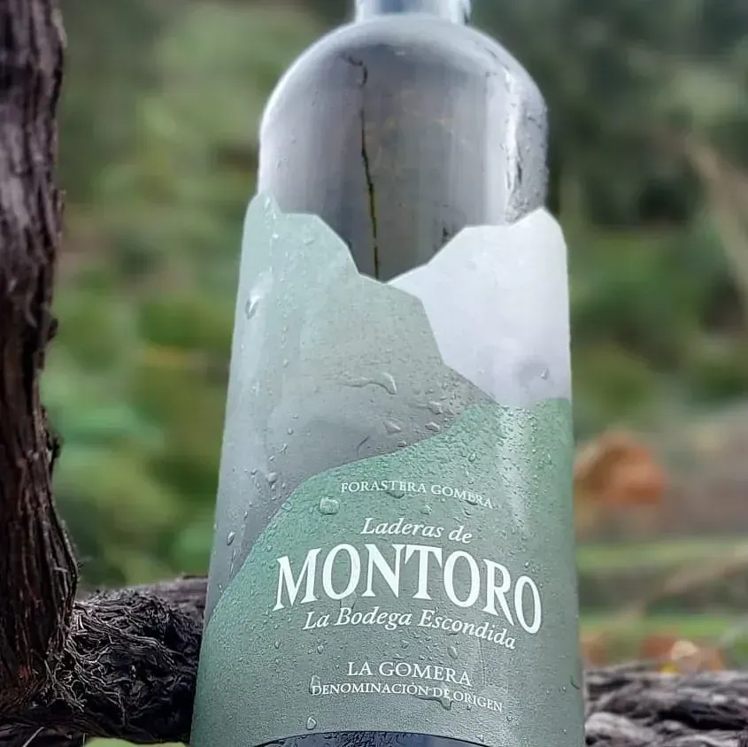 Una botella de vodka Montoro está en la rama de un árbol.